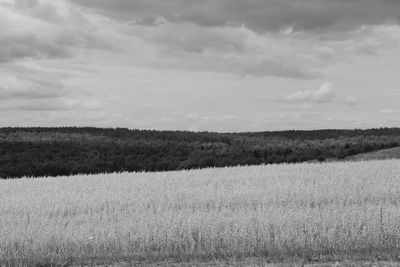 derechin fields around the jewish cemetery